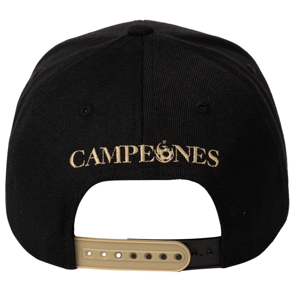 Phoenix Rising CapX Champions X-3 Structured Adjustable Hat