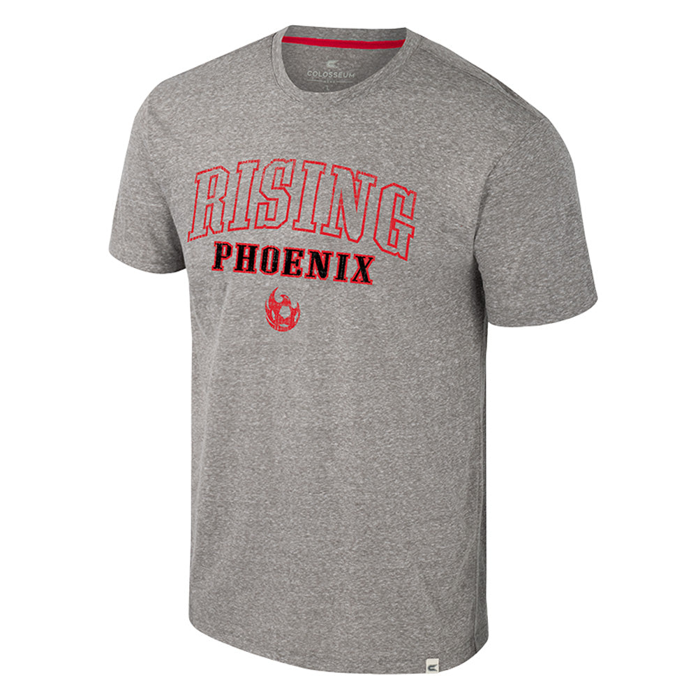 Phoenix Rising Colosseum Electromagnetic T-Shirt - Gray